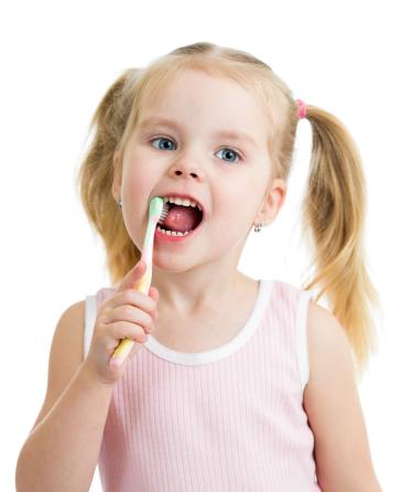 Idaho Falls dentist, Dr. Elison urges you to brush and floss daily.